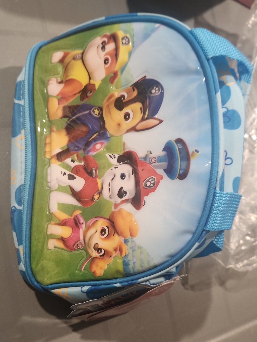 Paw Patrol Blue Character Lunch Bag with Sky and Green Accents